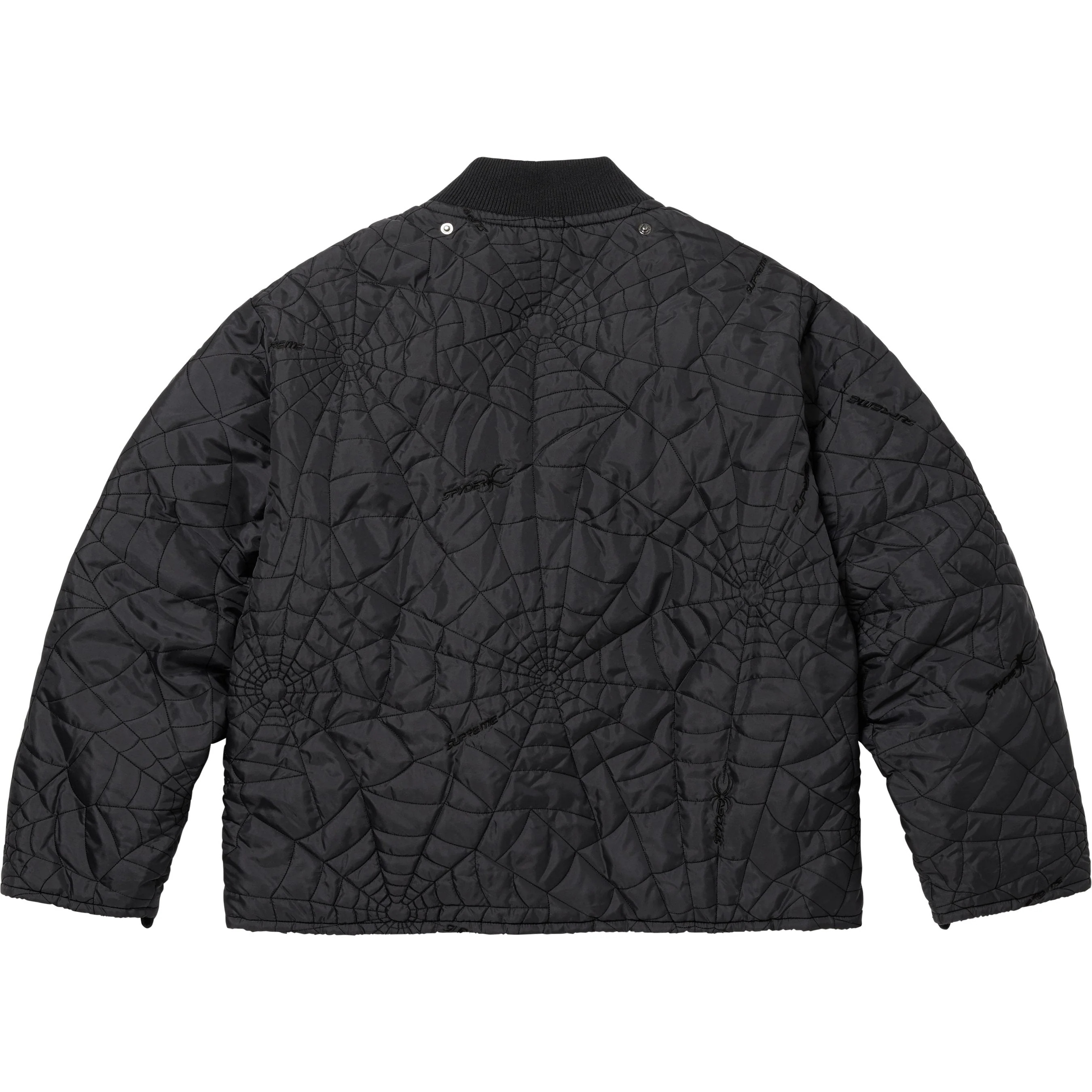 Supreme®/Spyder® Technical Jacket view 32